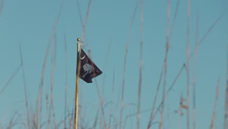 Waving-Flag-Of-South-Carolina-State-against-blue-sky-during-sunrise