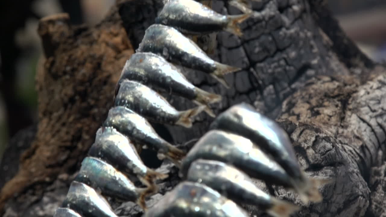 장작불에 정어리 생선꼬치구이