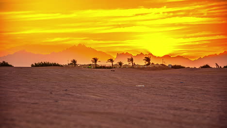 Un-Asentamiento-Beduino-En-Un-Oasis-En-Egipto---Lapso-De-Tiempo-Al-Atardecer---Cuatrimotos-Fuera-De-La-Aventura-De-La-Carretera