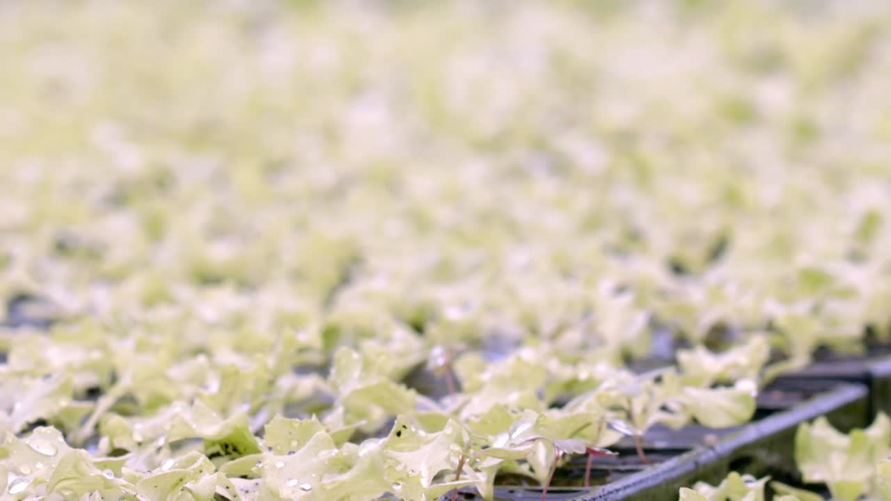 물 흐름과 노즐 설정은 확산의 양을 제어하는 데 도움이됩니다.