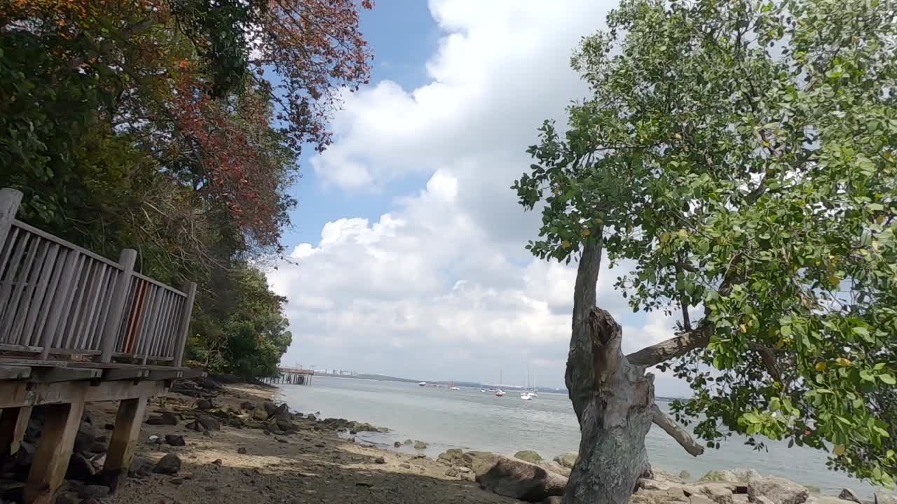 작은 바위 해변  ⁇ 에 있는 나무로 된 산책로