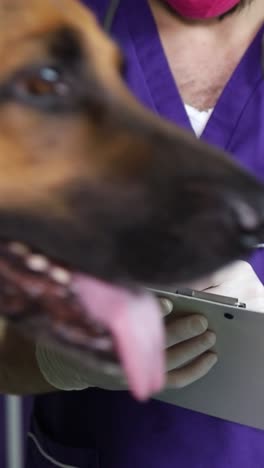 a healthcare worker in scrubs reviews patient notes with a stethoscope, ensuring quality care and safety
