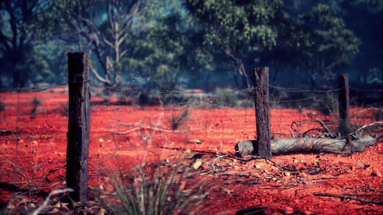 detalle de la vieja valla rural con un enfoque poco profundo