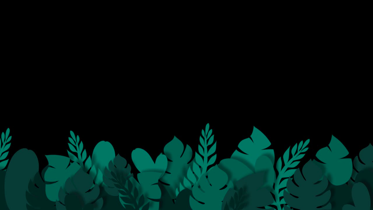 Tropical palm leaves animation template with alpha channel