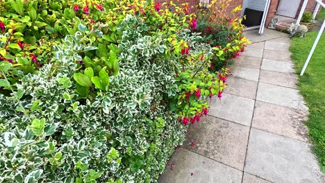 a house with a vibrant garden