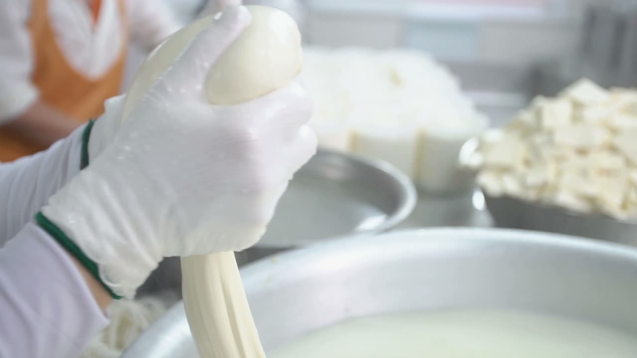 Mozzarella Cheese Production