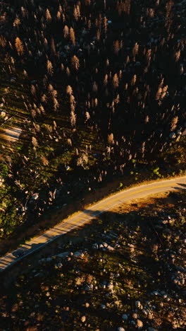 car rides by the road going through the rocky territory overgrown with pine trees. tourism in mountains. top view. vertical video