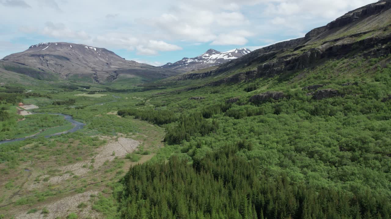 An aerial view of conservation-restored green forests in the Icelandic mountains. The lush, newly restored forests cover the mountain slopes, showcasing Iceland’s efforts in reforestation.
