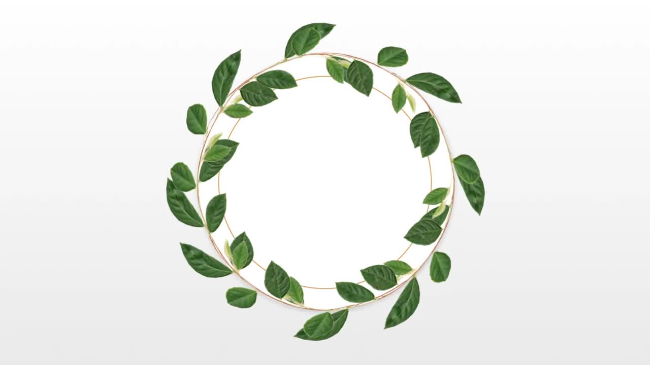 장식 식물 을 가진 복사 공간 을 위한 사진 프레임