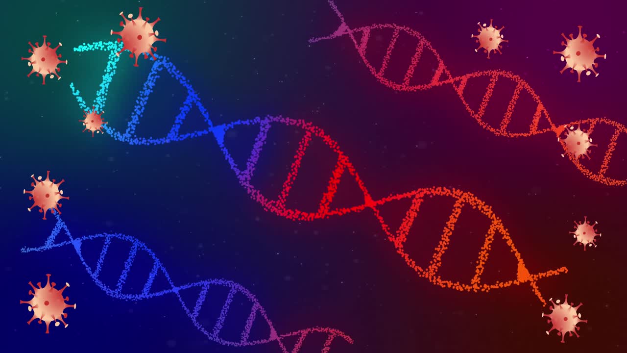 animación de células de covid 19 que se mueven y cadenas de adn que giran