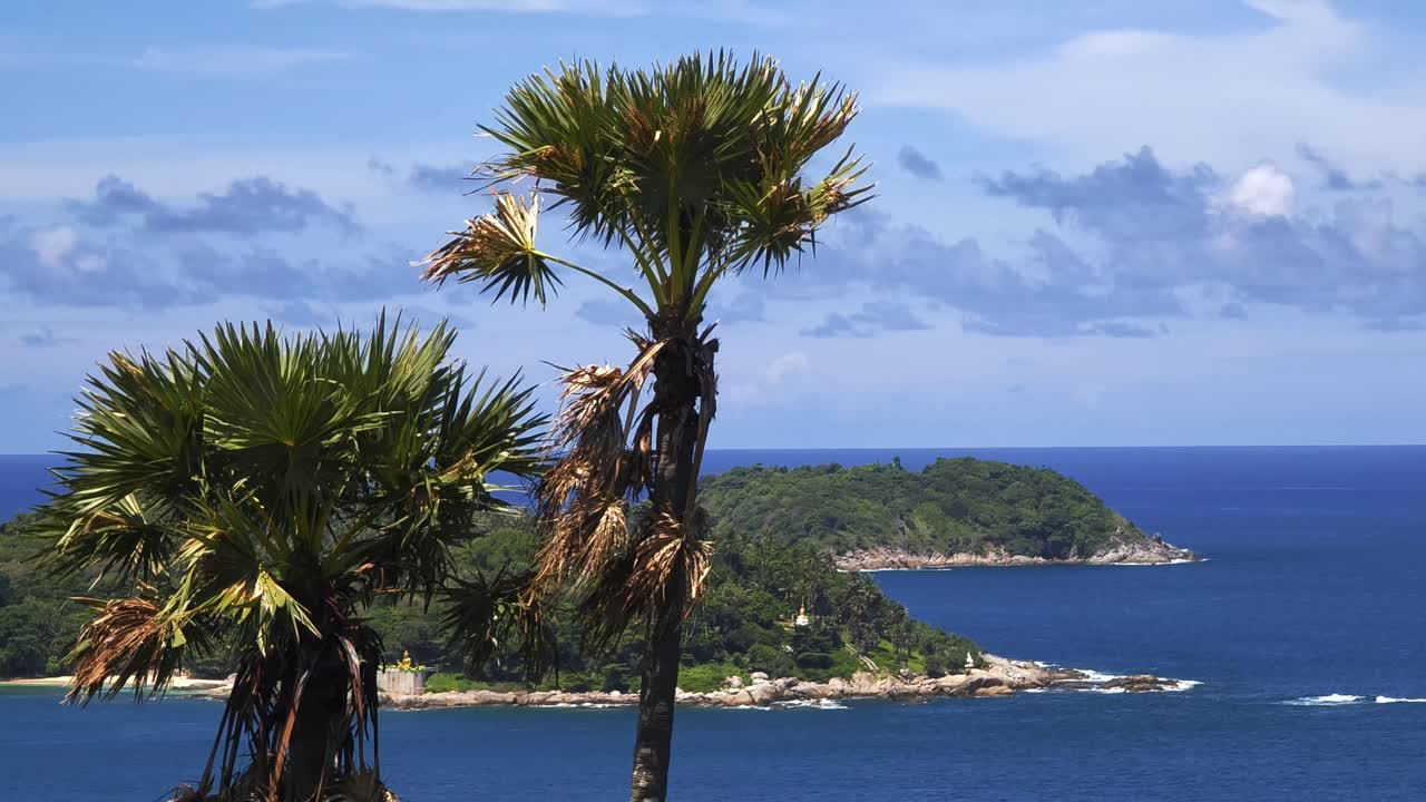 Tropical Island Seascape with Palm Trees