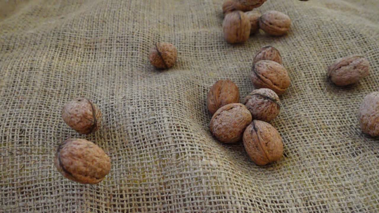 Walnuts fall on burlap. Slow Motion