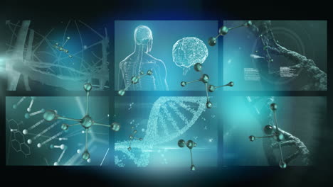 animation of medical data processing on screens