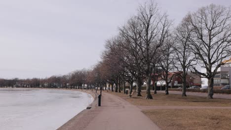 Lago-Helado-Bordeado-De-árboles-Calvos-Durante-El-Invierno-En-El-Parque-Urbano-En-Motala,-Suecia