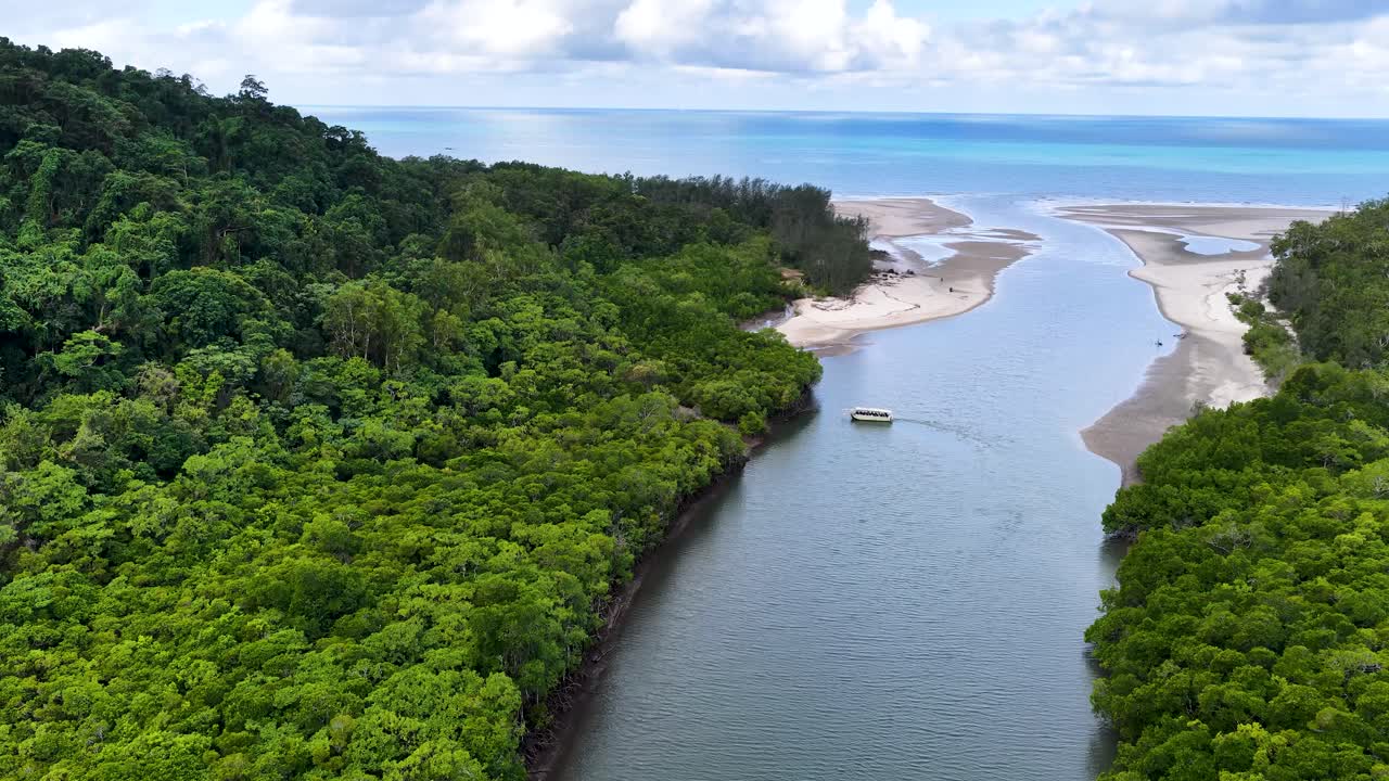 Drone glides above lush mangroves, river, and sandy beach under bright daylight, steady movement