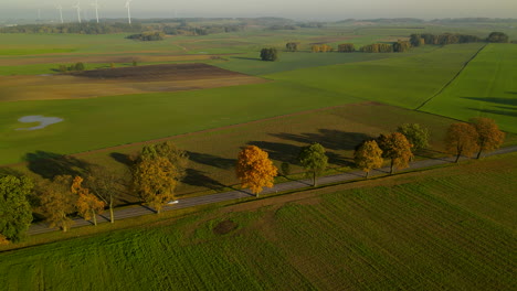 aerial, car driving on rural road past endless green fields at golden hour