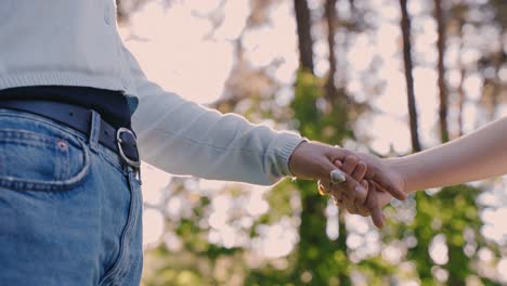 close up, romantic couple holding eachothers hands outdoors in green forest