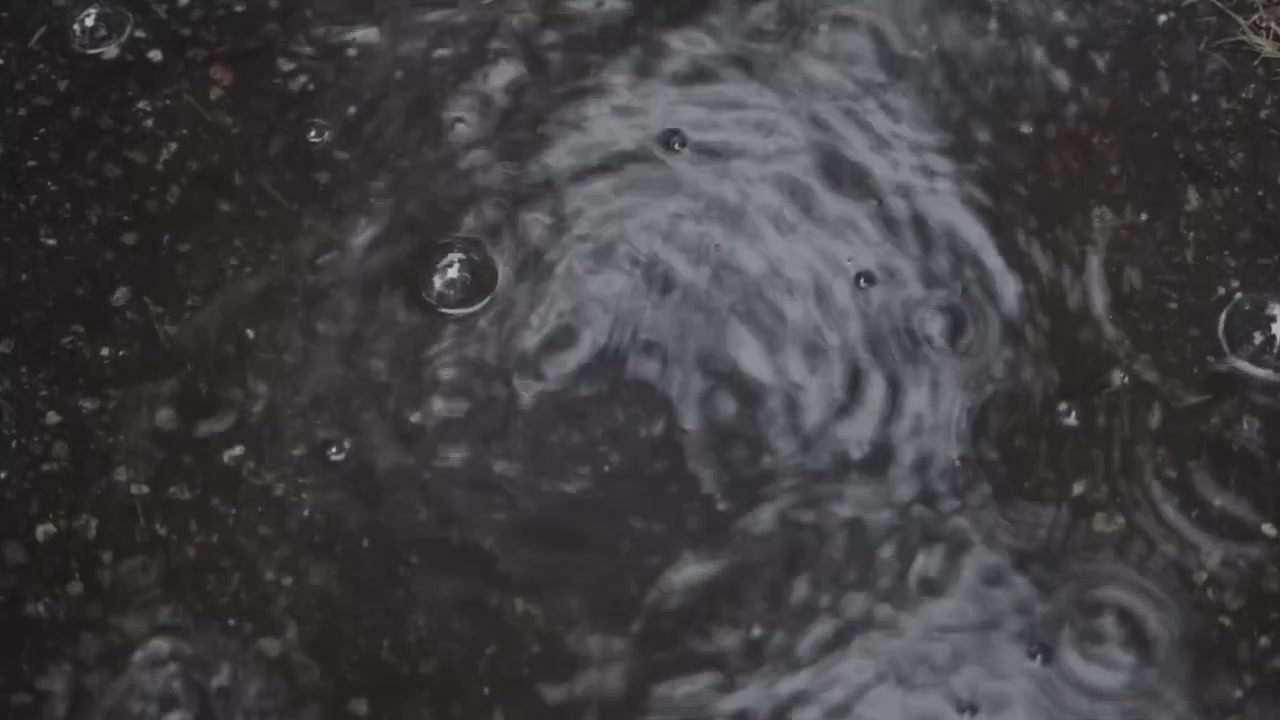 Regn, der danner en vandpyt, plasker og skaber bobler og krusninger