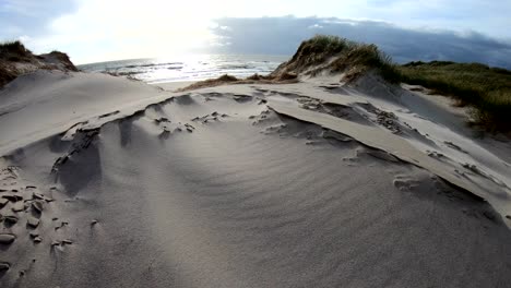 sand dunes with dune grass in the storm of the north sea, hiking dunes, dike protection, sondervig, jutland, denmark, 4k