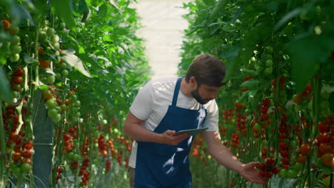 Botanical-scientist-device-monitoring-plants-growing-on-technological-farm