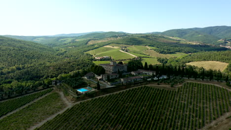 Aerial-shot-castle-in-vineyard