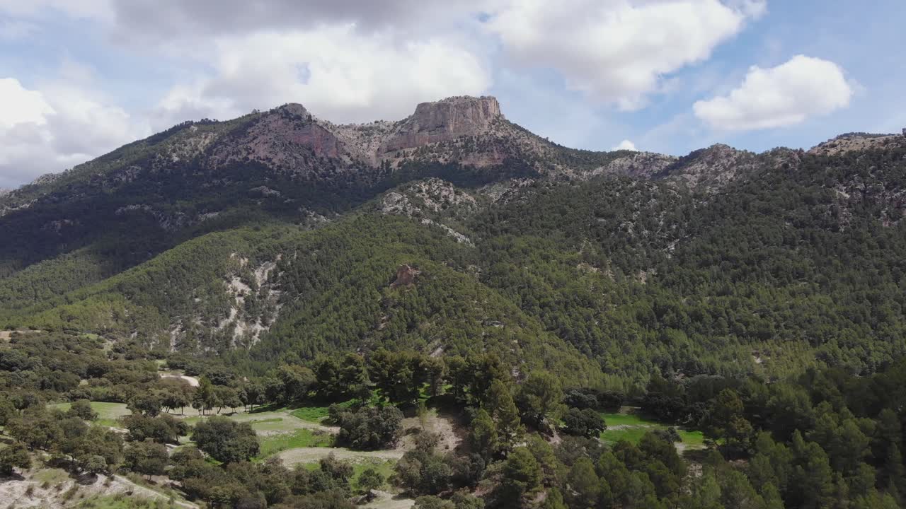 bosque en valle de alta montaña