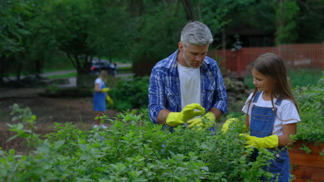father and daughter gardening together