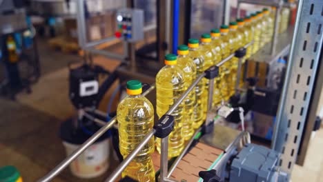 production and bottling of sunflower oil. automated factory for the production of sunflower oil. row of bottles full with refined oil moving on a conveyor.
