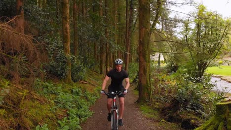 hombre en bicicleta en un sendero en el bosque 4k