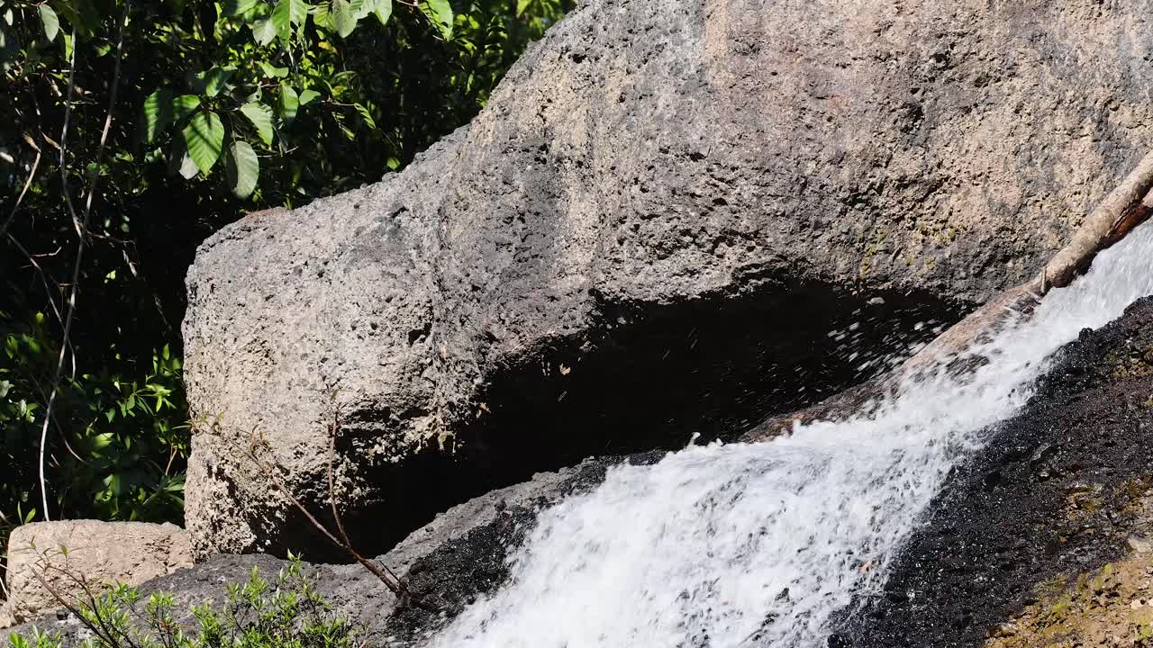 Clear water cascades over large rocks in bright daylight, surrounded by lush green forest vegetation
