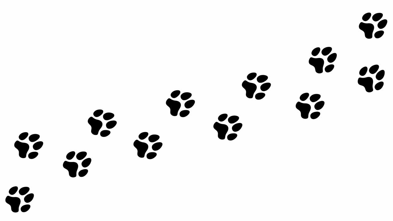 Animation : une traînée d'empreintes de pas noires sur un fond blanc, un chien marchant seul sur un chemin allant de gauche à droite