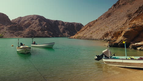 fishing boats in a coastal bay