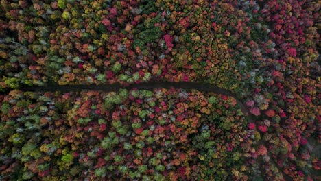 Mountain-Hiking-Trail,-Vibrant-Fall-Autumn-Colors-in-Utah-Forest---Aerial