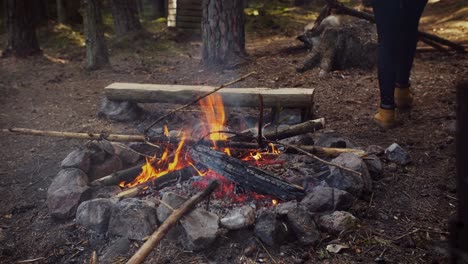 bonfire, fire flames in campfire in campsite. man prepare, stoke fire.