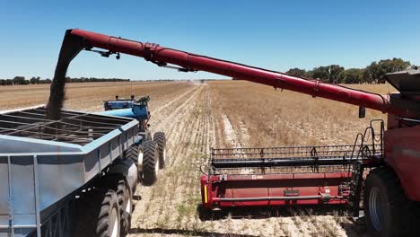 adentrarse en el mundo de las máquinas de vanguardia durante una operación de cosecha de canola a gran escala