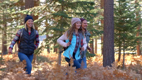 panning shot of family running past on a forest trail