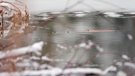 snowy open water surface of icy frozen winter pond, b-roll cut away