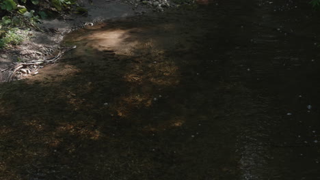 A-closeup-shot-of-a-river-running-in-the-forest,-well-hidden-under-the-heavy-foliage-with-a-few-well-lit-spots