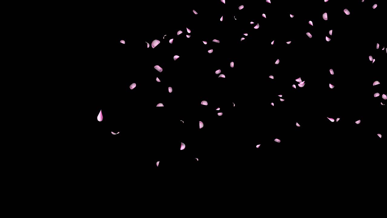 Red rose petals rain falling on green screen romantic decoration of web greeting cards love