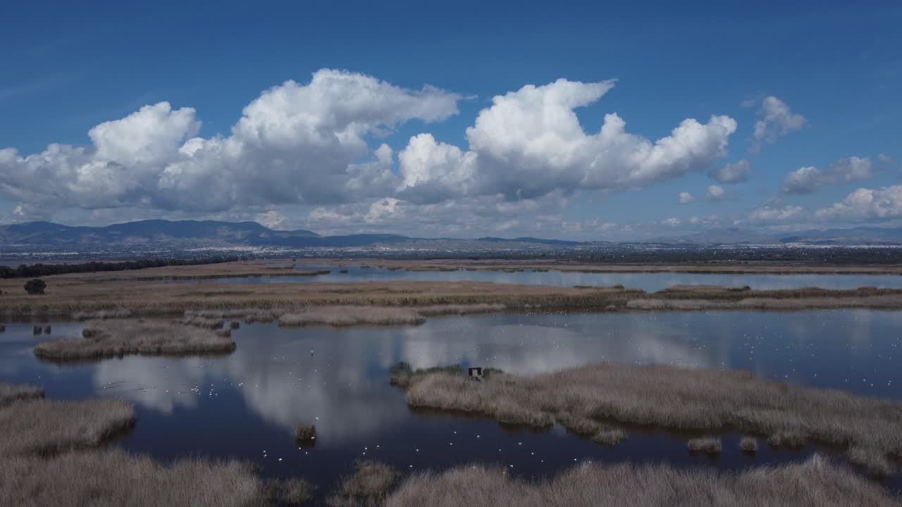 Aerial reveal of the marshes of El Hondo Natural Park with the town of Elche in the background. Spain