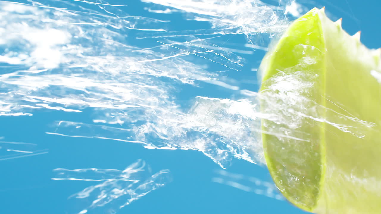 파란색 배경에 있는 녹색 알로에 베라까지 수직의 순수한 물방울과 시냇물