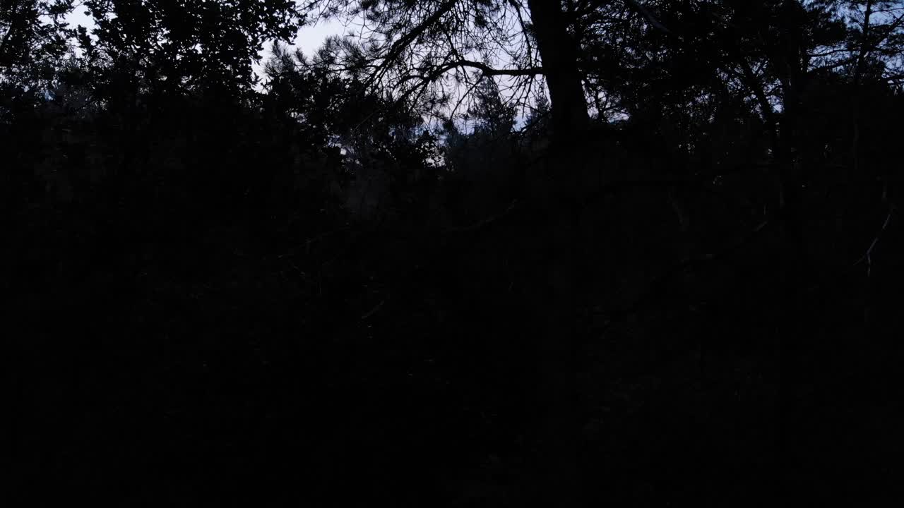 hermosa toma reveladora de un dron volando en el bosque para revelar una hermosa puesta de sol y nubes moradas