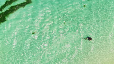 imágenes aéreas de una modelo nadando en las aguas cristalinas del mar caribe en petit st vincent