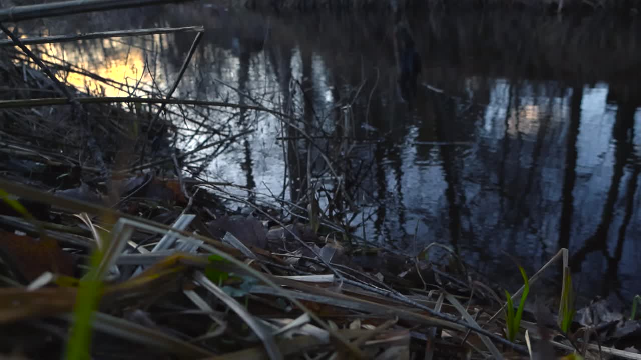 차가운 은 날 동안 어두운 반사적인 강이나 연못의 물의 가까운 낮은 각도 영상, 태양이 물에서 반사되는 동안, 그 위에 물 물결이 있습니다.
