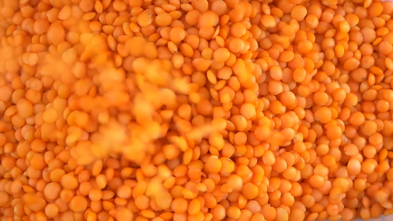 Lentilles corail se déversant en gros plan.
