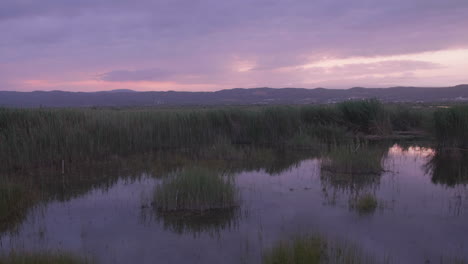 the most beautiful sunset ever over a natural swamp with mountains in the background