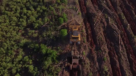 Toma-Aérea-De-Drones-De-Máquinas-De-Preparación-De-Suelo-Que-Convierten-Tierras-Forestales-En-Tierras-Agrícolas-De-Posadas-En-Misiones-Argentinas