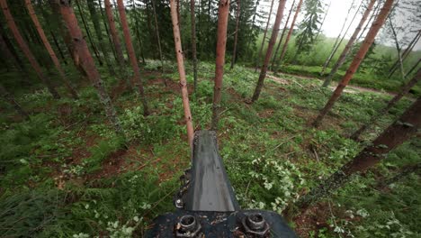 pov boom shot from harvester working in nordic woods, shot with dji osmo action 4