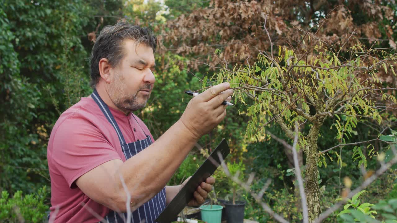 jardinero caucásico chequeando el árbol y haciendo notas en el centro del jardín