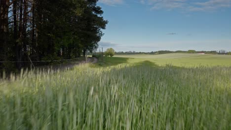 vast landscape of farm fields on a countryside during sunny day